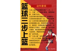  新手篮球爱好者如何开始体能训练：从基础到进阶的全面指南